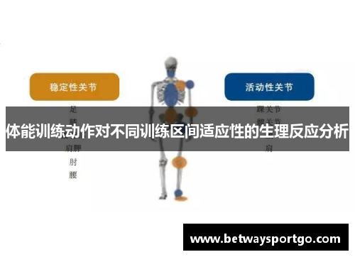 体能训练动作对不同训练区间适应性的生理反应分析