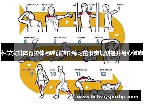 科学安排体育拉伸与睡前放松练习的节奏规划提升身心健康
