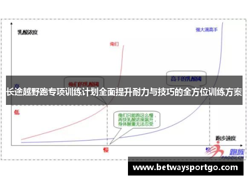长途越野跑专项训练计划全面提升耐力与技巧的全方位训练方案